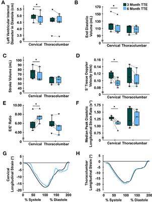 Temporal Changes of Cardiac Structure, Function, and Mechanics During Sub-acute Cervical and Thoracolumbar Spinal Cord Injury in Humans: A Case-Series